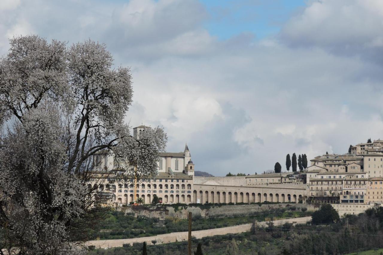 Da Franca Bed and Breakfast Assisi Eksteriør billede